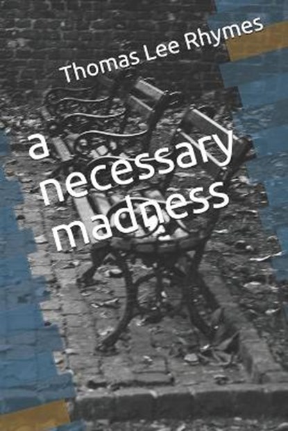 A necessary madness, RHYMES,  Thomas Lee - Paperback - 9798512546130