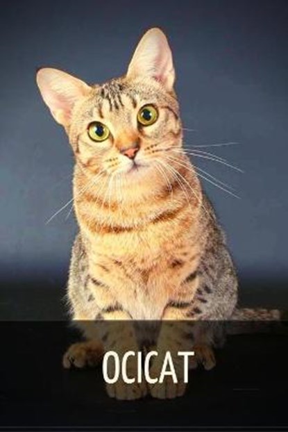 Ocicat, SID,  Ilya - Paperback - 9798515180331