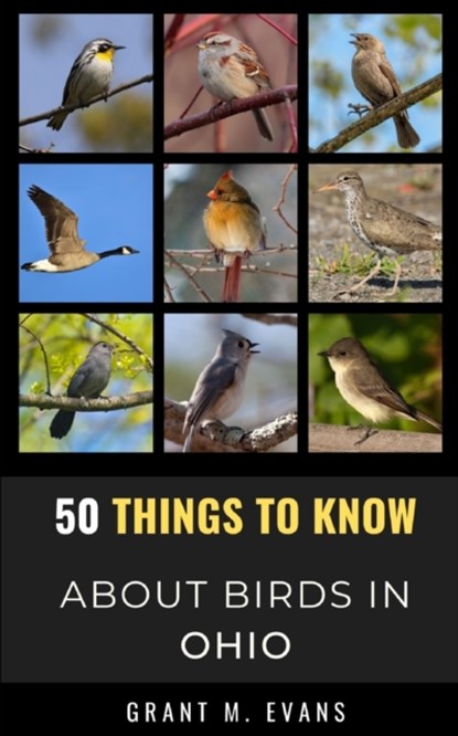 50 Things to Know About Birds in Ohio, Grant M Evans - Paperback - 9798517925305