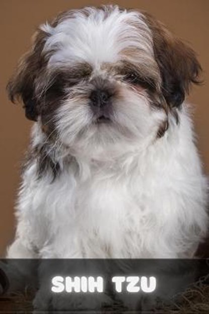 Shih Tzu, SID,  Ilya - Paperback - 9798518702059