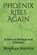 Phoenix Rises Again, MARTIN,  Noah Christopher ; Martin, Stephen Moore - Paperback - 9798531750921