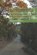 Part I, Miguel Brines - Paperback - 9798556904453