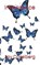 Iridescence, CASELBERG,  Jay - Paperback - 9798559712864