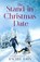 The Stand-in Christmas Date, Rachel John - Paperback - 9798580667270