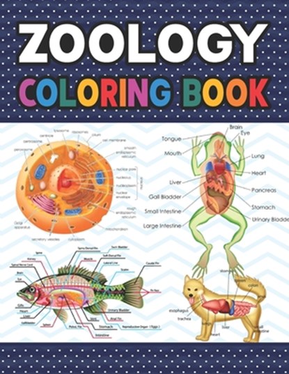 Zoology Coloring Book, Sarniczell Publication - Paperback - 9798582696773