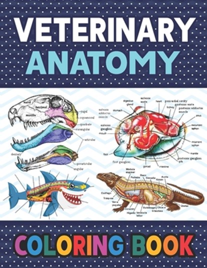 Veterinary Anatomy Coloring Book, Darkeylone Publication - Paperback - 9798582706960