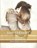 Jane Oglander: Large Print, LOWNDES,  Marie Belloc - Paperback - 9798585331206