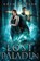 Lost Paladin, Eden Hudson - Paperback - 9798587861879