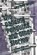 The Dancing Penguins, and Other Stories, Matthew Chenoweth Wright - Paperback - 9798589484564