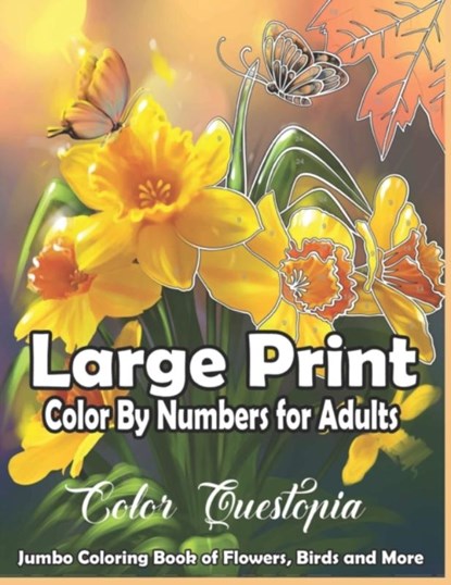 Large Print Color By Numbers for Adults, Color Questopia - Paperback - 9798592014598