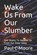 Wake Us From Our Slumber, Paul C Moore - Paperback - 9798596117530