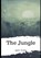 The Jungle, SINCLAIR,  Upton - Paperback - 9798597686110