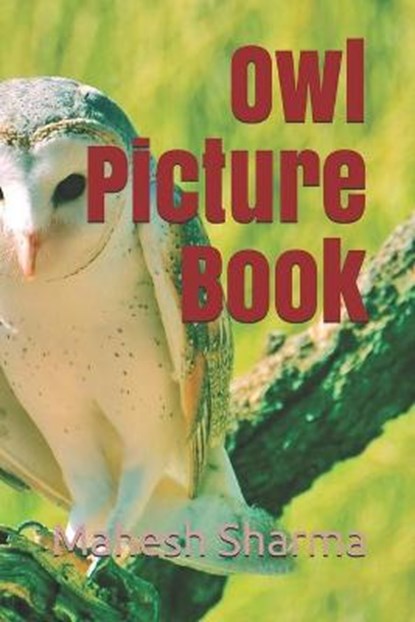 Owl Picture Book, SHARMA,  Mahesh - Paperback - 9798599497110