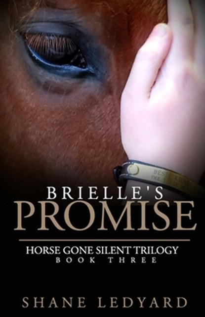 Brielle's Promise, Shane Ledyard - Paperback - 9798610815602