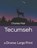 Tecumseh, Charles Mair - Paperback - 9798617624436