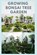 Growing Bonsai Tree Garden: Step-by-Step Guide to Creating, Selecting - Care - Cultivation, Elizabeth David - Paperback - 9798640282931