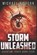 Storm Unleashed, Michael R Stern - Paperback - 9798643751342