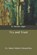Try and Trust, Horatio Alger, Jr - Paperback - 9798648404779