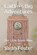 Caitlin's Big Adventures, Sarah Foster - Paperback - 9798649835565