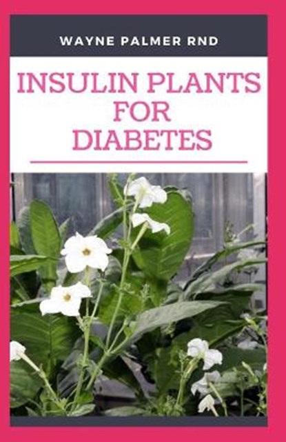 Insulin Plants for Diabetes: The Miraculous Guide On How You Can Use Insulin Plants To Cure All Types Of Diabetes, Wayne Palmer Rnd - Paperback - 9798655455740