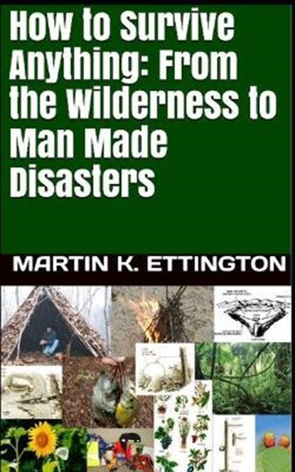 How to Survive Anything, ETTINGTON,  Martin K - Paperback - 9798662796881