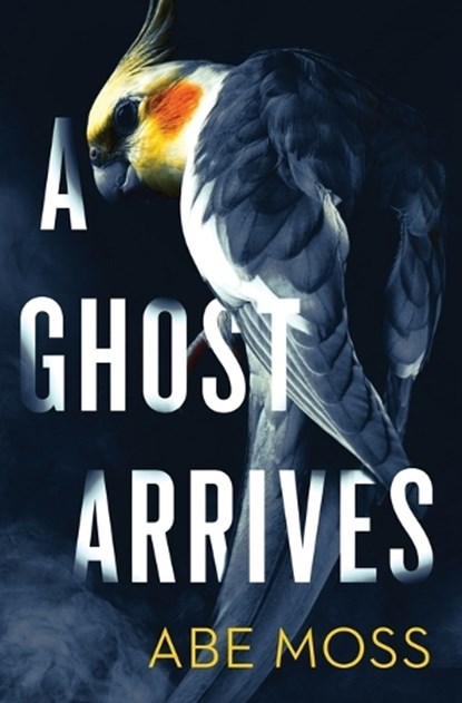 A Ghost Arrives, Abe Moss - Paperback - 9798676875008