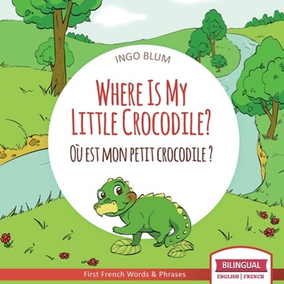 Where Is My Little Crocodile? - Ou est mon petit crocodile?, Ingo Blum - Paperback - 9798685008831