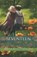Seventeen, Newton Booth Tarkington - Paperback - 9798693880726