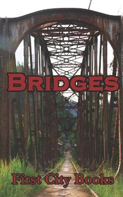 Bridges, B T Martinson ; J Travis Grundon ; Molly Daniels - Paperback - 9798694488754