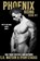Phoenix Rising, Ryan Stacks ; S R Watson - Paperback - 9798699345168