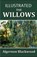 The Willows Illustrated, BLACKWOOD,  Algernon - Paperback - 9798700275378