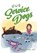 Our Service Dogs, Amber Diane Hill - Paperback - 9798701657449