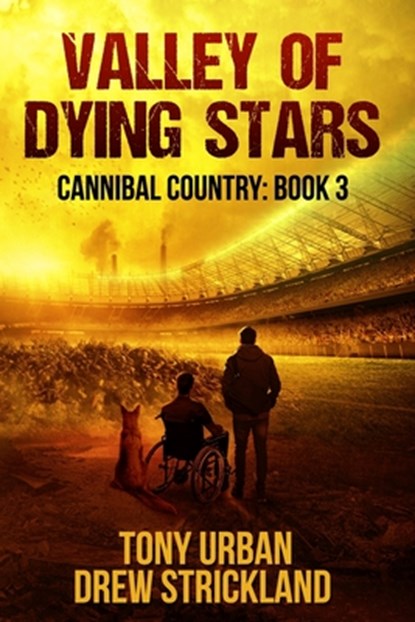 Valley of Dying Stars, Drew Strickland ; Tony Urban - Paperback - 9798702143774