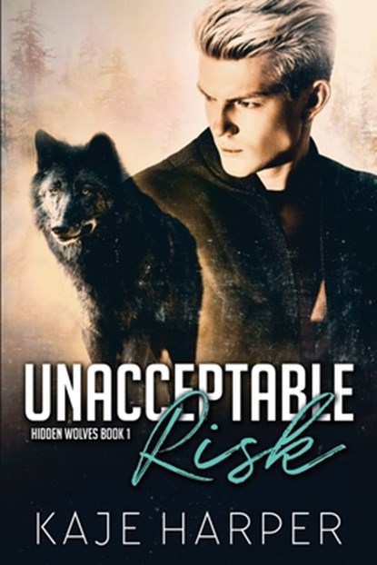 Unacceptable Risk, Kaje Harper - Paperback - 9798703233504