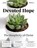 Devoted Hope, Zaira Grant - Paperback - 9798704814634
