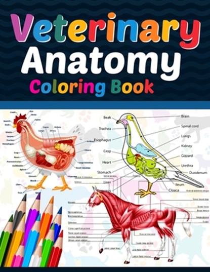 Veterinary Anatomy Coloring Book, Sreijeylone Publication - Paperback - 9798704984696
