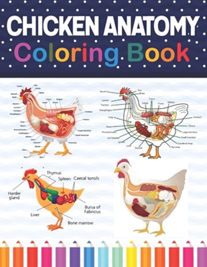 Chicken Anatomy Coloring Book, Darseylone Publication - Paperback - 9798732005837