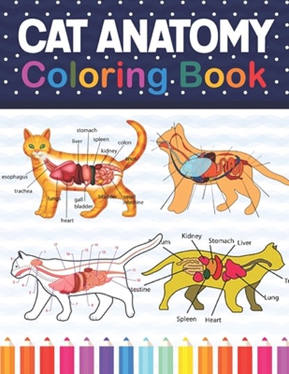 Cat Anatomy Coloring Book, Sonnaniczell Publication - Paperback - 9798733055701