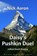 Daisy's Pushkin Duel, AARON,  Nick - Paperback - 9798735514626