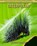 Caterpillar, MARSHALL,  Heather - Paperback - 9798737968991