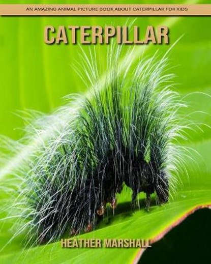 Caterpillar, MARSHALL,  Heather - Paperback - 9798737968991
