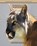 Cougar, MARSHALL,  Heather - Paperback - 9798737969240