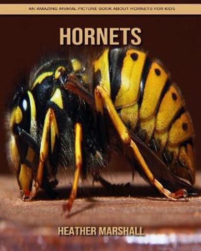 Hornets, MARSHALL,  Heather - Paperback - 9798738113185