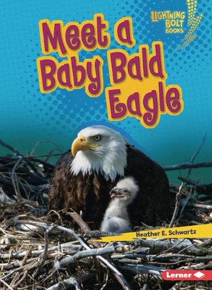 Meet a Baby Bald Eagle, Heather E. Schwartz - Paperback - 9798765603208