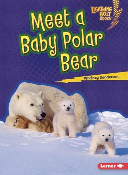 Meet a Baby Polar Bear, Whitney Sanderson - Paperback - 9798765603260