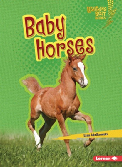 Baby Horses, Lisa Idzikowski - Paperback - 9798765628881