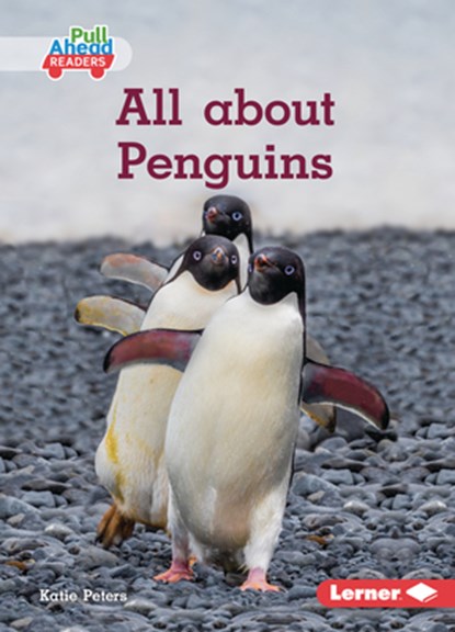 All about Penguins, Katie Peters - Paperback - 9798765629284