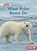 What Polar Bears Do, Katie Peters - Paperback - 9798765629352