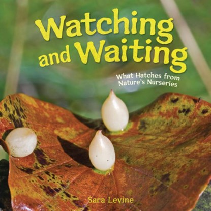 Watching and Waiting: What Hatches from Nature's Nurseries, Sara Levine - Gebonden - 9798765648940