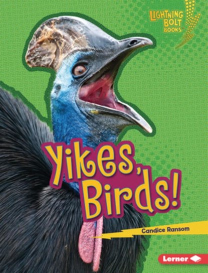 Yikes, Birds!, Candice Ransom - Gebonden - 9798765668993
